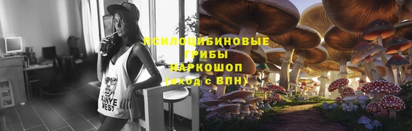 ешки Алексин