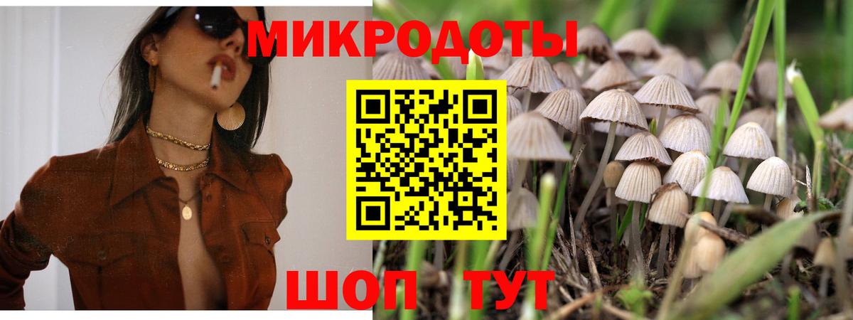 Псилоцибиновые грибы Magic Shrooms Пенза