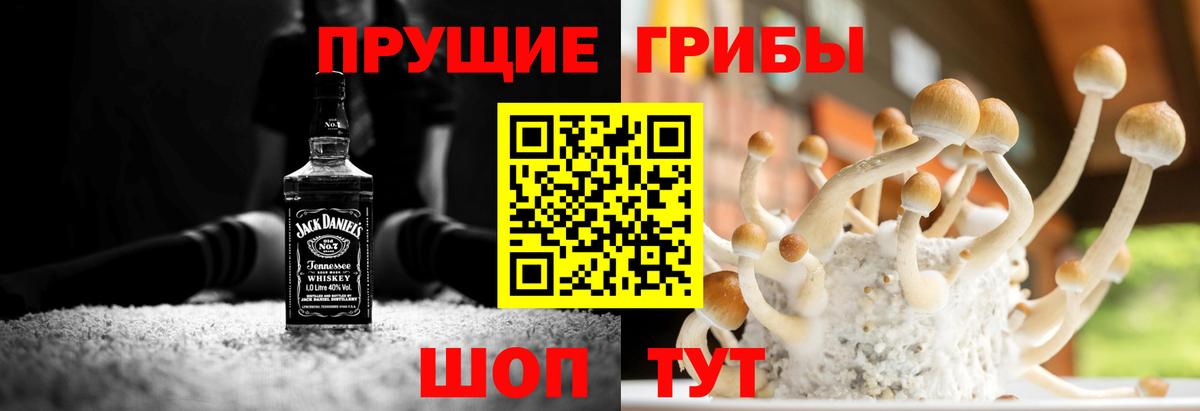 Пенза  Галлюциногенные грибы прущие грибы  Вход с VPN 